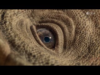 prehistoric planet — official teaser apple tv